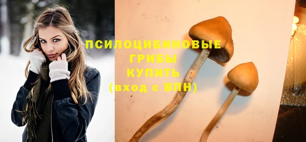 мет Нефтекумск