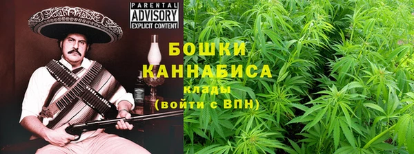 ГАЛЛЮЦИНОГЕННЫЕ ГРИБЫ Нефтегорск
