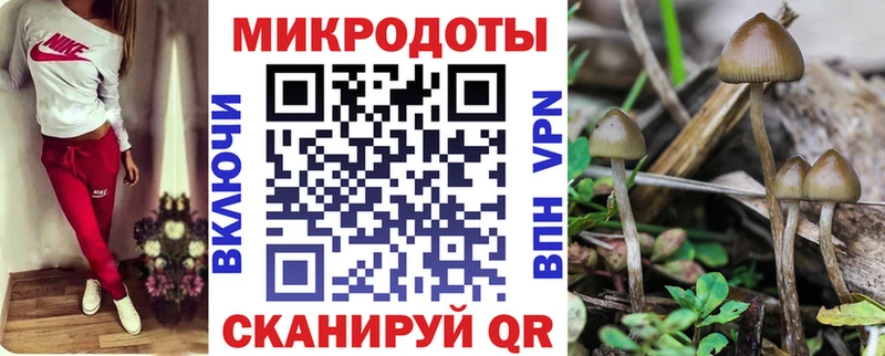 Псилоцибиновые грибы мухоморы  Купить где  Колпашево 